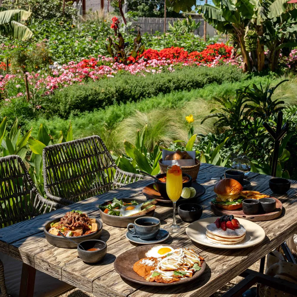 Cocina de Campo