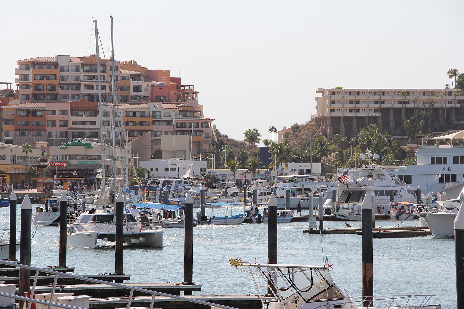 Marina Cabo